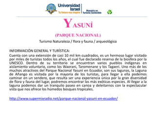 Turismo Naturaleza / flora y fauna / arqueológico
INFORMACIÓN GENERAL Y TURÍSTICA:
Cuenta con una extensión de casi 10 mil km cuadrados, es un hermoso lugar visitado
por miles de turistas todos los años, el cual fue declarado reserva de la biosfera por la
UNESCO. Dentro de su territorio se encuentran varios pueblos indígenas en
aislamiento voluntario, como los Waorani, Taromenane y los Tagaeri. Uno más de los
muchos atractivos del Parque Nacional Yasuní en Ecuador, son sus lagunas, la Laguna
de Añango es visitada por la mayoría de los turistas, para llegar a ella podemos
caminar en un sendero, que resulta ser una experiencia única por la gran diversidad
de flora y fauna del lugar, podremos encontrar las más exóticas especies. Al llegar a la
laguna podemos dar un tranquilo paseo en canoa y deleitarnos con la espectacular
vista que nos ofrece los húmedos bosques tropicales.
http://www.supermixradio.net/parque-nacional-yasuni-en-ecuador/
YASUNÍ
(PARQUE NACIONAL)
 