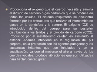  Proporciona el oxígeno que el cuerpo necesita y elimina
el dióxido de carbono o gas carbónico que se produce en
todas las células. El sistema respiratorio se encuentra
formado por las estructuras que realizan el intercambio de
gases en la atmósfera y la sangre. El oxígeno (O2) es
introducido dentro del cuerpo para su posterior
distribución a los tejidos y el dióxido de carbono (CO2).
Producido por el metabolismo celular, es eliminado al
exterior. Además interviene en la regulación del pH
corporal, en la protección con los agentes patógenos y las
sustancias irritantes que son inhalados y en la
vocalización, ya que al moverse el aire a través de las
cuerdas vocales, produce vibraciones que son utilizadas
para hablar, cantar, gritar.
 