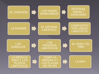 EL CORAZON
LOS VASOS
SANGUINEOS
ARTERIAS,
VENAS Y
CAPILARES
LA SANGRE
EL SISTEMA
LINFÁTICO
COMPUESTO
POR VASOS
LINFÁTICOS
LOS
GANGLIOS
LOS
ÓRGANOS
LINFÁTICOS
EL VASO Y EL
TIMO
LA MÉDULA
ÓSEA Y LOS
TEJIDOS
LINFÁTICOS
COMO LA
AMÍGDALA Y
LAS PLACAS
DE PEYER
LA INFA
 