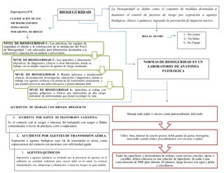 OrganigramaN°8
CLASIFICACIÓN DE LOS
MICROORGANISMOS
INFECCIOSOS
POR GRUPOS DE RIESGO
REGLAS DE ORO
ACCIDENTES DE TRABAJO CON RIESGOS BIOLÓGICOS
BIOSEGURIDAD
La bioseguridad se define como el conjunto de medidas destinadas a
mantener el control de factores de riesgo por exposición a agentes
biológicos, físicos o químicos, logrando la prevención de impactos nocivo.
1.- No comer
2.- No beber
3.- No FumarNIVEL DE BIOSEGURIDAD 1.- Las prácticas, los equipos de
seguridad, el diseño y la construcción de la instalación del Nivel
de Bioseguridad 1 son adecuados para laboratorios destinados a la
educación o capacitación secundaria o universitaria.
NIVEL DE BIOSEGURIDAD 2.- Son aplicables a laboratorios
educativos, de diagnóstico, clínicos u otros laboratorios donde se
trabaja con un amplio espectro de agentes de riesgo moderado.
NIVEL DE BIOSEGURIDAD 3: Pueden aplicarse a instalaciones
clínicas, de producción, investigación, educación o diagnóstico, donde se
trabaja con agentes exóticos con potencial de transmisión respiratoria, y
que pueden provocar una infección grave y potencialmente letal.
NIVEL DE BIOSEGURIDAD 4.- Aplicables al trabajo con
agentes peligrosos o tóxicos que representan un alto riesgo
individual de enfermedades que ponen en peligro la vida.
NORMAS DE BIOSEGURIDAD EN UN
LABORATORIO DE ANATOMIA
PATOLOGICA
Todas las superficies y herramientas de trabajo, como sierras,cinceles, tijeras o
cuchillos deben colocarse en una solución de hipoclorito de sodio a una
concentración de 5000 ppm durante 20 minutos, luego lavarse con agua y jabón
y esterilizarse.
Utilice bata, delantal de caucho grueso, doble guante de goma, monogafas,
mascarilla cuando realice procedimientos con vísceras o tejidos.
Maneje todo tejido o víscera como potencialmente infectado.
1. ACCIDENTE POR AGENTE DE TRANSMISIÓN SANGUÍNEA.
Es el contacto con la sangre o mucosas del trabajador con sangre o fluidos
contaminados a través de pinchazo, corte o salpicadura.
2. ACCIDENTE POR AGENTES DE TRANSMISIÓN AÉREA.
Exposición a agentes biológicos cuya vía de transmisión es aérea, como
consecuencia del contacto con pacientes con enfermedad aguda.
3. AGENTES QUÍMICOS
Exposición a agentes químicos se entiende por la presencia de agentes en el
ambiente en cantidad suficiente para causar daño en la salud. La correcta
manipulación uso, almacenaje y eliminación evitará los riesgos en gran medida
 