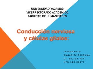 UNIVERSIDAD YACAMBÚ
VICERRECTORADO ACADÉMICO
FACULTAD DE HUMANIDADES
 