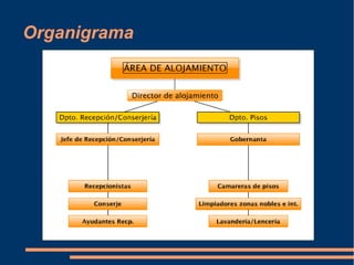 Organigrama 
 