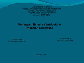 UNIVERSIDAD YACAMBU 
PROGRAMA DE ESTUDIOS POR COMPETENCIAS 
CARRERA-PROGRAMA PSICOLOGIA 
FUNDAMENTOS DE NEUROCIENCIA 
SECCION ED01D0V 
Meninges, Sistema Ventricular e 
Irrigación Encefálica 
PROFESORA: 
XIOMARA RODRIGUEZ 
PARTICIPANTE: 
LICETH A. GONZALEZ 
OCTUBRE 2014 
 