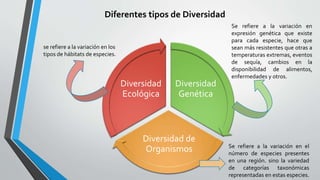 Diversidad
Genética
Diversidad de
Organismos
Diversidad
Ecológica
Diferentes tipos de Diversidad
Se refiere a la variación en
expresión genética que existe
para cada especie, hace que
sean más resistentes que otras a
temperaturas extremas, eventos
de sequía, cambios en la
disponibilidad de alimentos,
enfermedades y otros.
Se refiere a la variación en el
número de especies presentes
en una región. sino la variedad
de categorías taxonómicas
representadas en estas especies.
se refiere a la variación en los
tipos de hábitats de especies.
 