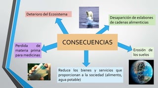 Deterioro del Ecosistema
Desaparición de eslabones
de cadenas alimenticias
Reduce los bienes y servicios que
proporcionan a la sociedad (alimento,
agua potable)
Perdida de
materia prima
para medicinas
Erosión de
los suelos
CONSECUENCIAS
 
