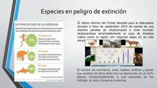Especies en peligro de extinción
El último informe del Fondo Mundial para la Naturaleza
lanzado a fines de septiembre 2014 da cuenta de una
drástica pérdida de biodiversidad a nivel mundial,
destacándose lamentablemente el caso de América
Latina como la región con mayores bajas en su vida
silvestre.
El número de mamíferos, aves, reptiles, anfibios y peces
que existían 40 años atrás hoy ha disminuido en un 52%
debido, fundamentalmente, a una reducción de los
hábitats, la caza y la pesca comercial.
 