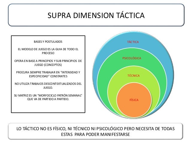 Periodizacion Tactica