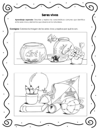 Seres vivos
Aprendizaje esperado: Describe y explica las características comunes que identifica
entre seres vivos y elementos que observa en la naturaleza.
Consigna: Colorea la imagen de los seres vivos y explica por qué lo son.
.
 