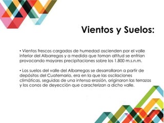 Vientos y Suelos:
• Vientos frescos cargados de humedad ascienden por el valle
inferior del Albarregas y a medida que toman altitud se enfrían
provocando mayores precipitaciones sobre los 1.800 m.s.n.m.
• Los suelos del valle del Albarregas se desarrollaron a partir de
depósitos del Cuaternario, era en la que las oscilaciones
climáticas, seguidas de una intensa erosión, originaron las terrazas
y los conos de deyección que caracterizan a dicho valle.
 
