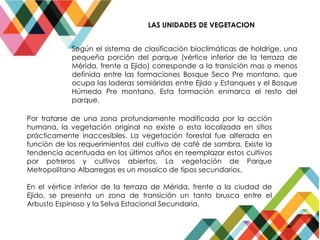 LAS UNIDADES DE VEGETACION
Según el sistema de clasificación bioclimáticas de holdrige, una
pequeña porción del parque (vértice inferior de la terraza de
Mérida, frente a Ejido) corresponde a la transición mas o menos
definida entre las formaciones Bosque Seco Pre montano, que
ocupa las laderas semiáridas entre Ejido y Estanques y el Bosque
Húmedo Pre montano. Esta formación enmarca el resto del
parque.
Por tratarse de una zona profundamente modificada por la acción
humana, la vegetación original no existe o esta localizada en sitios
prácticamente inaccesibles. La vegetación forestal fue alterada en
función de los requerimientos del cultivo de café de sombra. Existe la
tendencia acentuada en los últimos años en reemplazar estos cultivos
por potreros y cultivos abiertos. La vegetación de Parque
Metropolitano Albarregas es un mosaico de tipos secundarios.
En el vértice inferior de la terraza de Mérida, frente a la ciudad de
Ejido, se presenta un zona de transición un tanto brusca entre el
Arbusto Espinoso y la Selva Estacional Secundaria.
 