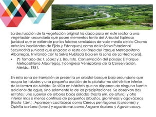 La destrucción de la vegetación original ha dado paso en este sector a una
vegetación secundaria que posee elementos tanto del Arbustal Espinoso
(unidad que se extiende por los faldeos semiáridos de valle medio del rio Chama
entre las localidades de Ejido y Estanques) como de la Selva Estacional
Secundaria (unidad que engloba el resto del área del Parque Metropolitano
Albarregas, limitando con la Selva Nublada baja en la zona de La Hechicera).
• (*) Tomado de: I. López y J. Bautista. Conservación del paisaje: El Parque
Metropolitano Albarregas. II congreso Venezolano de la Conservación.
Mérida. 1981.
En esta zona de transición se presenta un arbistal-bosque bajo secundario que
ocupa los taludes y una pequeña porción de la plataforma del vértice inferior
de la terraza de Mérida. Se sitúa en hábitats que no disponen de ninguna fuente
adicional de agua, sino solamente la de las precipitaciones. Se observan dos
estratos; uno superior de arboles bajos aislados (hasta 6m. de altura) y otro
inferior mas o menos continua de pequeños arbustos, gramíneas y agaváceas
(hasta 1,5m.). Aparecen cactáceas como Cereus pentágonus (cordones) y
Opintia caribea (tunas) y agaváceas como Aagave sisalana y Agave cocuy.
 