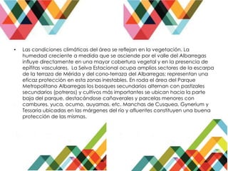 • Las condiciones climáticas del área se reflejan en la vegetación. La
humedad creciente a medida que se asciende por el valle del Albarregas
influye directamente en una mayor cobertura vegetal y en la presencia de
epífitas vasculares. La Selva Estacional ocupa amplios sectores de la escarpa
de la terraza de Mérida y del cono-terraza del Albarregas; representan una
eficaz protección en esta zonas inestables. En roda el área del Parque
Metropolitano Albarregas los bosques secundarios alternan con pastizales
secundarios (potreros) y cultivos más importantes se ubican hacia la parte
baja del parque, destacándose cañaverales y parcelas menores con
cambures, yuca, ocumo, auyamas, etc. Manchas de Cusquea, Gynerium y
Tessaria ubicadas en las márgenes del río y afluentes constituyen una buena
protección de las mismas.
 