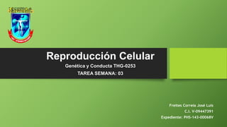 Reproducción Celular
Genética y Conducta THG-0253
TAREA SEMANA: 03
Freites Correia José Luis
C.I. V-09447391
Expediente: PHS-143-00068V
 