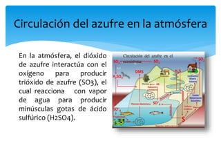 Circulación del azufre en la atmósfera
En la atmósfera, el dióxido
de azufre interactúa con el
oxígeno para producir
trióxido de azufre (SO3), el
cual reacciona con vapor
de agua para producir
minúsculas gotas de ácido
sulfúrico (H2SO4).
 