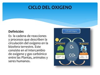 CICLO DEL OXIGENO
Definición:
Es la cadena de reacciones
y procesos que describen la
circulación del oxígeno en la
biosfera terrestre. Este
consiste en el intercambio
de oxígeno y gas carbónico
entre las Plantas, animales y
seres humanos.
 