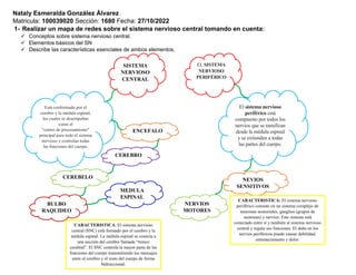 Nataly Esmeralda González Álvarez
Matricula: 100039020 Sección: 1680 Fecha: 27/10/2022
1- Realizar un mapa de redes sobre el sistema nervioso central tomando en cuenta:
 Conceptos sobre sistema nervioso central.
 Elementos básicos del SN
 Describe las características esenciales de ambos elementos.
SISTEMA
NERVIOSO
CENTRAL
Está conformado por el
cerebro y la médula espinal,
los cuales se desempeñan
como el
"centro de procesamiento"
principal para todo el sistema
nervioso y controlan todas
las funciones del cuerpo.
El sistema nervioso
periférico está
compuesto por todos los
nervios que se ramifican
desde la médula espinal
y se extienden a todas
las partes del cuerpo.
EL SISTEMA
NERVIOSO
PERIFÉRICO
ENCEFALO
CEREBRO
CEREBELO
BULBO
RAQUIDEO
MEDULA
ESPINAL
NEVIOS
SENSITIVOS
NERVIOS
MOTORES
CARACTERISTICA: El sistema nervioso
central (SNC) está formado por el cerebro y la
médula espinal. La médula espinal se conecta a
una sección del cerebro llamada “tronco
cerebral”. El SNC controla la mayor parte de las
funciones del cuerpo transmitiendo los mensajes
entre el cerebro y el resto del cuerpo de forma
bidireccional.
CARACTERISTICA: El sistema nervioso
periférico consiste en un sistema complejo de
neuronas sensoriales, ganglios (grupos de
neuronas) y nervios. Este sistema está
conectado entre sí y también al sistema nervioso
central y regula sus funciones. El daño en los
nervios periféricos puede causar debilidad,
entumecimiento y dolor.
 