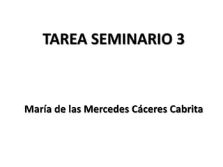 TAREA SEMINARIO 3
María de las Mercedes Cáceres Cabrita
 