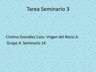 Tarea Seminario 3
Cristina González Caro. Virgen del Rocío A.
Grupo 4. Seminario 14.
 
