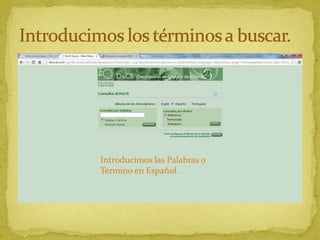 Introducimos las Palabras o
Término en Español.

 
