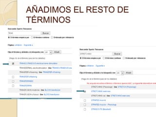 AÑADIMOS EL RESTO DE 
TÉRMINOS 
 