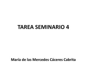 TAREA SEMINARIO 4
María de las Mercedes Cáceres Cabrita
 