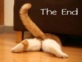 Tarea seminario 4iml