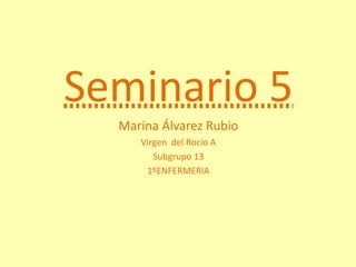 Seminario 5
Marina Álvarez Rubio
Virgen del Rocío A
Subgrupo 13
1ºENFERMERIA
 