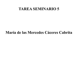 TAREA SEMINARIO 5
María de las Mercedes Cáceres Cabrita
 