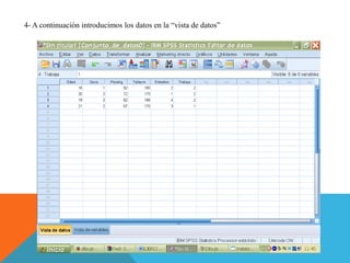 4- A continuación introducimos los datos en la “vista de datos”
 