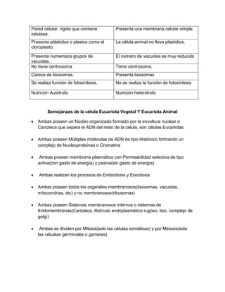Semejanzas de la célula Eucariota Vegetal Y Eucariota Animal
Ambas poseen un Núcleo organizado formado por la envoltura nuclear o
Carioteca que separa el ADN del resto de la célula, son células Eucariotas
Ambas poseen Múltiples moléculas de ADN de tipo Histónico formando un
complejo de Nucleoproteínas o Cromatina
Ambas poseen membrana plasmática con Permeabilidad selectiva de tipo
activa(con gasto de energía) y pasiva(sin gasto de energía)
Ambas realizan los procesos de Endocitosis y Exocitosis
Ambas poseen todos los organelos membranosos(lisosomas, vacuolas,
mitocondrias, etc) y no membranosos(ribosomas)
Ambas poseen Sistemas membranosos internos o sistemas de
Endomembranas(Carioteca, Retículo endoplasmático rugoso, liso, complejo de
golgi)
Ambas se dividen por Mitosis(solo las células somáticas) y por Meiosis(solo
las célualas germinales o gametas)
Pared celular, rígida que contiene
celulosa.
Presenta una membrana celular simple.
Presenta plástidios o plastos como el
cloroplasto.
La célula animal no lleva plastidios.
Presenta numerosos grupos de
vacuolas.
El número de vacuolas es muy reducido
No tiene centrosoma Tiene centrosoma.
Carece de lisosomas. Presenta lisosomas
Se realiza función de fotosíntesis. No se realiza la función de fotosíntesis
Nutrición Autótrofa Nutrición heterótrofa
 