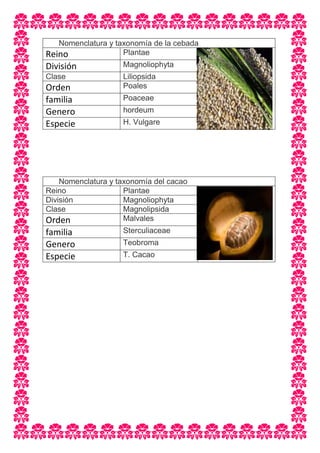 Tareas extra clase | DOCX
