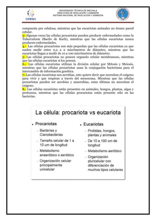 UNIVERSIDAD TÉCNICA DE MACHALA 
DIRECCIÓN DE NIVELACIÓN Y ADMISIÓN 
SISTEMA NACIONAL DE NIVELACIÓN Y ADMISIÓN 
compuesta por celulosa, mientras que las eucariotas animales no tienen pared 
celular. 
3- Algunas veces las células procariotas pueden producir enfermedades como la 
Tuberculosis (Bacilo de Koch), mientras que las células eucariotas nunca 
producen enfermedades. 
4.- Las células procariotas son más pequeñas que las células eucariotas ya que 
suelen medir entre 0,2 a 2 micrómetros de diámetro, mientras que las 
eucariotas llegan a medir de 10 a 100 micrómetros de diámetro. 
5- Las células procariotas no poseen organelo celular membranoso, mientras 
que las células cucariotas si los poseen. 
6.- Las células eucariotas utilizan la división celular por Mitosis y Meiosis, 
mientras que las células procariotas usan la conjugación bacteriana para el 
intercambio de información genética. 
7- Las células eucariotas son aerobias, esto quiere decir que necesitan el oxígeno 
para vivir y que respiran a través del mesosoma. Mientras que las células 
procariotas pueden ser aerobias y anaerobias, estas últimas no necesitan el 
oxígeno. 
8.- Las células eucariotas están presentes en animales, hongos, plantas, algas y 
protozoos, mientras que las células procariotas están presente sólo en las 
bacterias. 
 