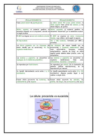 UNIVERSIDAD TÉCNICA DE MACHALA 
DIRECCIÓN DE NIVELACIÓN Y ADMISIÓN 
SISTEMA NACIONAL DE NIVELACIÓN Y ADMISIÓN 
 