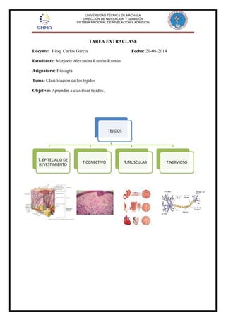 UNIVERSIDAD TÉCNICA DE MACHALA 
DIRECCIÓN DE NIVELACIÓN Y ADMISIÓN 
SISTEMA NACIONAL DE NIVELACIÓN Y ADMISIÓN 
TAREA EXTRACLASE 
Docente: Bioq. Carlos García Fecha: 20-08-2014 
Estudiante: Marjorie Alexandra Ramón Ramón 
Asignatura: Biología 
Tema: Clasificacion de los tejidos 
Objetivo: Aprender a clasificar tejidos. 
Cvv 
TEJIDOS 
T. EPITELIAL O DE 
REVESTIMIENTO 
T.CONECTIVO T.MUSCULAR T.NERVIOSO 
 