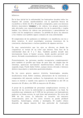 UNIVERSIDAD TÉCNICA DE MACHALA 
DIRECCIÓN DE NIVELACIÓN Y ADMISIÓN 
SISTEMA NACIONAL DE NIVELACIÓN Y ADMISIÓN 
bifásicos. 
En la fase inicial de la enfermedad, las leptospiras invaden todos los 
órganos del cuerpo, manifestándose con la aparición brusca de 
escalofríos y fiebre de 39 a 40 grados centígrados, junto con intensos 
dolores musculares (mialgias) y de cabeza. Los grupos musculares 
más afectados son característicamente los de la pantorrilla y región 
lumbar. Los dolores de cabeza son persistentes y generalmente no 
ceden con los analgésicos comunes. La pérdida de peso, las náuseas 
y los vómitos son también signos comunes de esta enfermedad. 
El compromiso de los pulmones es habitual y se manifiesta con tos y 
dolor torácico. A nivel neurológico ocasiona trastornos de la 
conciencia, alucinaciones e incluso parálisis de algunos nervios. 
Es muy característico que los ojos se afecten, en donde las 
conjuntivas se tornan de un color rojo intenso. Esta fase de la 
enfermedad dura de 4 a 7 días. También pueden invadir más 
internamente hasta el humor acuoso, donde pueden persistir por 
meses, llevando ocasionalmente a uveítis crónica o recurrente. 
Posteriormente, las personas pueden recuperarse completamente; 
pero también es posible que luego de unos días sin ningún tipo de 
síntomas, aparezcan nuevamente manifestaciones clínicas de una 
segunda etapa. Puede haber fiebre, aunque menos elevada e intensos 
dolores musculares y molestias gastrointestinales. 
En los casos graves aparece ictericia, hemorragias, anemia, 
insuficiencia renal, fiebre continua, alteraciones de la conciencia y 
compromiso del músculo cardíaco. La leptopirosis sin ictericia casi 
nunca es mortal y cuando esta aparece la mortalidad es del 5% en 
menores de 30 años y de 30% en mayores de 60 años. 
A pesar de la posibilidad de presentar complicaciones severas, la 
mayoría de las veces la enfermedad es autolimitada y no fatal. Se 
considera que solamente un 5-10% de las personas con leptospirosis 
padecen su forma severa, la cual tiene mal pronóstico. En cerca del 
90% de los casos, la infección se resuelve sin mayores 
consecuencias, pero en los casos severos se puede producir 
hepatitis, hemorragias, uremia y meningitis. El cuadro clínico 
depende de alguna manera del tipo particular de Leptospira 
 