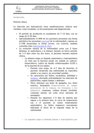 UNIVERSIDAD TÉCNICA DE MACHALA 
DIRECCIÓN DE NIVELACIÓN Y ADMISIÓN 
SISTEMA NACIONAL DE NIVELACIÓN Y ADMISIÓN 
involucrado. 
Historia clínica 
La infección por leptospirosis tiene manifestaciones clínicas muy 
variadas; como resultado, es frecuentemente mal diagnosticada. 
 El período de incubación es usualmente de 7-12 días, con un 
rango de 2-20 días. 
 Aproximadamente el 90% de los pacientes presentan una forma 
anictérica (no presentan ictericia) de la enfermedad y apenas un 
5-10% desarrollan la forma severa, con ictericia, también 
conocida como Enfermedad de Weil. 
 La evolución natural de la enfermedad cursa con 2 fases 
distintas, la septicémica y la inmune; durante un breve período 
de 1-3 días entre las dos fases, el paciente muestra mejoría 
clínica. 
o La primera etapa es llamada septicémica o leptospirémica 
en vista que la bacteria puede ser aislada en cultivos: 
hemocultivos, cultivo de líquido cefalorraquídeo (LCR) y 
de la mayoría de los tejidos. 
 Durante esta etapa, de 4-7 días de duración, el 
paciente desarrolla una enfermedad no específica 
similar a un catarro, de severidad variable. 
 Se caracteriza por fiebre, escalofríos, debilidad y 
mialgias, afectando principalmente los músculos de 
pantorrillas, región lumbar y abdomen. 
 Otros síntomas son dolor de garganta, tos, dolor 
torácico, hemoptisis (expectoración de sangre 
proveniente de la tráquea, los bronquios o los 
pulmones), exantema, cefalea frontal, fotofobia, 
confusión mental, así como otros síntomas de 
meningitis. 
 Durante los siguientes 1-3 días de mejoría que 
siguen a la primera fase, la curva de temperatura 
cae y el paciente se siente relativamente 
asintomático. La fiebre reaparece nuevamente 
indicando el inicio de la segunda etapa de la 
enfermedad. 
o La segunda etapa es llamada inmune o leptospirúrica por 
 