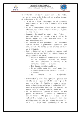 UNIVERSIDAD TÉCNICA DE MACHALA 
DIRECCIÓN DE NIVELACIÓN Y ADMISIÓN 
SISTEMA NACIONAL DE NIVELACIÓN Y ADMISIÓN 
la circulación de anticuerpos que pueden ser detectados 
y porque se puede aislar la bacteria de la urina, aunque 
no de la sangre ni del LCR. 
 Se produce como consecuencia de la respuesta 
inmunológica corporal a la infección y dura 0-30 
días ó más. 
 Se ve el compromiso específico de cada órgano 
afectado, los cuales incluyen: meninges, hígado, 
riñones y ojos. 
 Síntomas inespecíficos tales como fiebre y 
mialgias pueden ser menos severos que en la 
primera etapa, los cuales persisten entre pocos 
días a pocas semanas. 
 La mayoría de los pacientes (77%) presentan 
cefalea intensa y pobremente controlada por 
analgésicos; esta por lo general anuncia el inicio 
de la meningitis. 
 Enfermedad anictérica: la meningitis aséptica es el 
síndrome clínico más importante observado en el 
estadio inmune anictérico: 
o Síntomas meníngeos se presentan en el 50% 
de los pacientes. Parálisis de nervios 
craneales, encefalitis y cambios de la 
conciencia son menos comunes. 
o Los síntomas son inespecíficos. 
o La meningitis puede mantenerse pocos días, 
aunque ocasionalmente puede durar entre 1- 
2 semanas. 
o La muerte es excepcional. 
 Enfermedad ictérica: Las leptospiras pueden ser 
aisladas de la sangre por 24-48 horas después de 
aparecer la ictericia. También se puede presentar 
dolor abdominal con diarrea o constipación (30%), 
hepatoesplenomegalia (aumento de tamaño de 
hígado y bazo), náuseas, vómitos y anorexia. 
 De las alteraciones oculares la uveítis (2-10%) 
puede desarrollarse temprana o tardíamente, 
incluso hasta 1 año posterior al inicio de la 
enfermedad. Iridociclitis y coriorretinitis son otras 
complicaciones tardías que pueden persistir por 
años. La hemorragia subconjuntival es la 
 