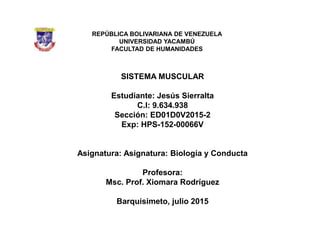 REPÚBLICA BOLIVARIANA DE VENEZUELA
UNIVERSIDAD YACAMBÚ
FACULTAD DE HUMANIDADES
SISTEMA MUSCULAR
Estudiante: Jesús Sierralta
C.I: 9.634.938
Sección: ED01D0V2015-2
Exp: HPS-152-00066V
Asignatura: Asignatura: Biología y Conducta
Profesora:
Msc. Prof. Xiomara Rodríguez
Barquisimeto, julio 2015
 