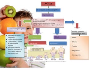 AGUA
Es un liquido, inodoro e insípido
Importancia
El 75% del cerebro y e 83% de la sangre en agua
Elimina los desechos
Ayuda convertir alimentos en energia
Ayuda a llevar nutrientes y oxigeno a ls células
Cuando restringir el agua
 Insuficiencia cardiaca
congestiva
 En proceso de oliguria
 Hipertención y edema,
se restringen los
líquidos
 Solo para cubrir las
pérdidas insensibles a
las cuales se le restan
100 ml/m2/dia
Cuando aumentar
necesidades el agua
 Fiebre
 Diarrea
 Vomito
 Deportistas
 Constipación
Exceso
Déficit
Hipernatremia Hiponatremia
 
