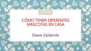 CÓMO TENER DIFERENTES
MASCOTAS EN CASA
Owen Calderón
 