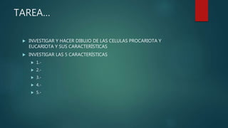 TAREA…
INVESTIGAR Y HACER DIBUJO DE LAS CELULAS PROCARIOTA Y
EUCARIOTA Y SUS CARACTERÍSTICAS
INVESTIGAR LAS 5 CARACTERÍSTICAS
1.-
2.-
3.-
4.-
5.-