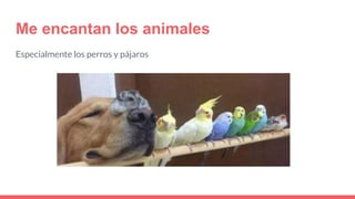 Me encantan los animales
Especialmente los perros y pájaros
 
