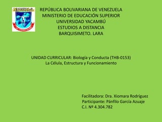 REPÚBLICA BOLIVARIANA DE VENEZUELA
MINISTERIO DE EDUCACIÓN SUPERIOR
UNIVERSIDAD YACAMBÚ
ESTUDIOS A DISTANCIA
BARQUISIMETO. LARA
UNIDAD CURRICULAR: Biología y Conducta (THB-0153)
La Célula, Estructura y Funcionamiento
Facilitadora: Dra. Xiomara Rodríguez
Participante: Pánfilo García Azuaje
C.I. Nº 4.304.782
 