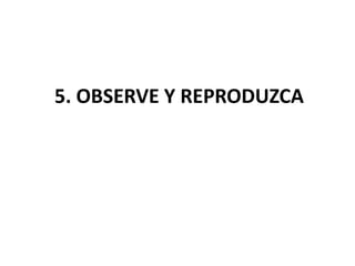 5. OBSERVE Y REPRODUZCA