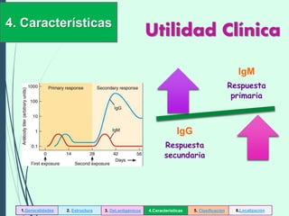 Utilidad Clínica
IgM
Respuesta
primaria
IgG
Respuesta
secundaria
4. Características
1.Generalidades 2. Estructura 3. Det.antigénicos 4.Características 5. Clasificación 6.Localización
 