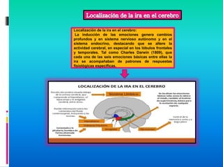 Localización de la ira en el cerebro:
La inducción de las emociones genera cambios
profundos y en sistema nervioso autónomo y en el
sistema endocrino, destacando que se altere la
actividad cerebral, en especial en los lóbulos frontales
y temporales. Tal como Charles Darwin (1809), que
cada una de las seis emociones básicas entre ellas la
ira se acompañaban de patrones de respuestas
fisiológicas especificas.
 
