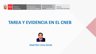 TAREA Y EVIDENCIA EN EL CNEB
DEMETRIO CCESA RAYME
 
