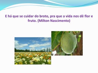 E há que se cuidar do broto, pra que a vida nos dê flor e
              fruto. (Milton Nascimento)
 