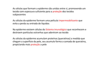 As células que formam a epiderme são unidas entre si, promovendo um 
tecido com espessura suficiente para a proteção dos tecidos 
subjascentes 
As células da epiderme formam uma película impermeabilizante que 
evita a perda ou entrada de líquidos 
Na epiderme existem células do Sistema imunológico que reconhecem e 
destroem partículas estranhas que adentram ao tecido 
As células da epiderme acumulam proteínas (queratinas) a medida que 
chegam a superfície da pele, seu acumulo forma a camada de queratina, 
propiciando mais proteção a pele 
 