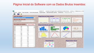 Página Inicial do Software com os Dados Brutos Inseridos:
 